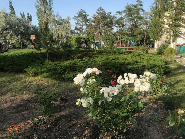 База Отдыха Наука Коблево Kobleve Buitenkant foto